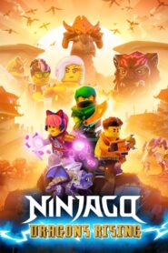 LEGO Ninjago : Le soulèvement des dragons