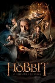 Le Hobbit : La Désolation de Smaug